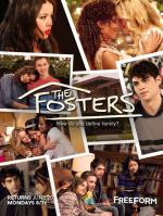 Stef Adams Foster / Stef Foster